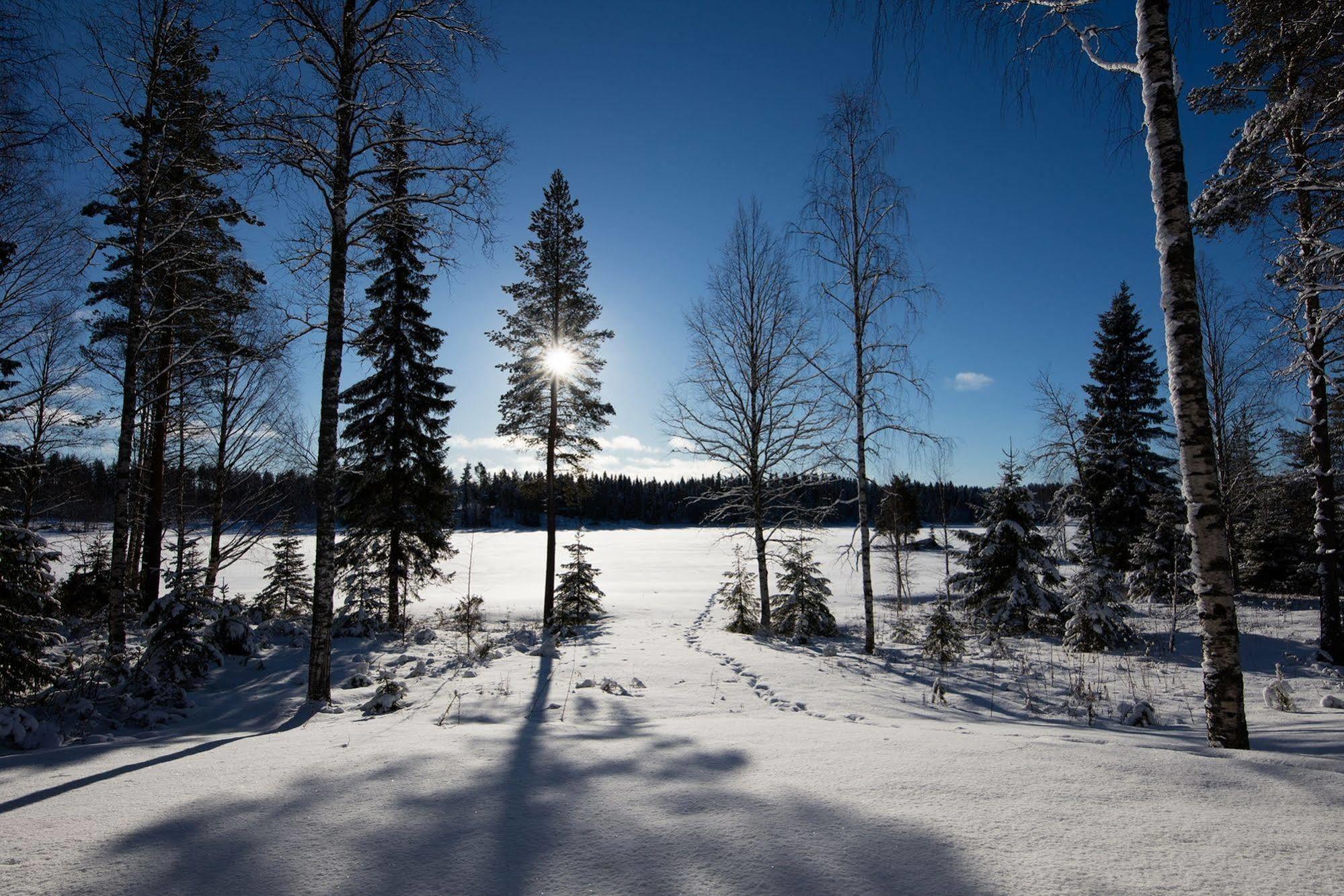 Kajaani Cottages Экстерьер фото